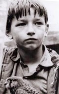 Актер Дэвид Брэдли - фильмография. Биография, личная жизнь и фото Дэвид Брэдли.