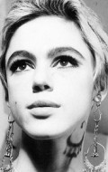 Эди Седжвик фильмография, фото, биография - личная жизнь. Edie Sedgwick