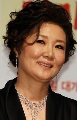 Актриса Ким Хэ-сук - фильмография. Биография, личная жизнь и фото Ким Хэ-сук.