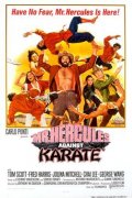 Фильмография Джордж Ванг - лучший фильм Schiaffoni e karate.