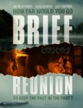 Фильмография Kristy Hasen - лучший фильм Brief Reunion.