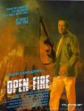 Фильмография Эшли Ф. Брукс - лучший фильм Открытый огонь.
