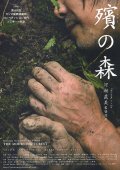 Фильмография Yusei Yamamoto - лучший фильм Лес скорби.