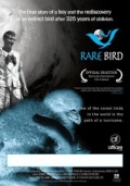 Фильмография Элизабет Нун - лучший фильм Rare Bird.