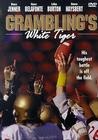 Фильмография Рэй Витте - лучший фильм Grambling's White Tiger.