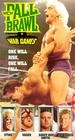 Фильмография Стив Борден - лучший фильм WCW Fall Brawl.