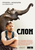 Фильмография Павел Дроздов - лучший фильм Слон.