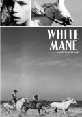 Фильмография Чарльз Гийом - лучший фильм Белая грива: Дикая лошадь.