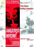 Фильмография Ivan Bijuk - лучший фильм Поцелуй жизни.