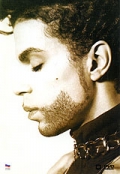 Фильмография Бобби З. - лучший фильм Prince: The Hits Collection.