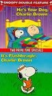 Фильмография Ферги Дюамель - лучший фильм It's Flashbeagle, Charlie Brown.