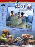 Фильмография Yi-fan Chen - лучший фильм Тропические рыбы.