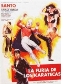 Фильмография Сандра Дуарте - лучший фильм La furia de los karatecas.