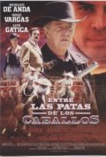 Фильмография Густаво Диаз - лучший фильм Entre las patas de los caballos.