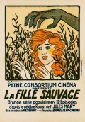 Фильмография Pierre Delmonde - лучший фильм La fille sauvage.