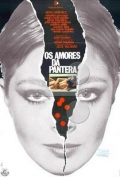 Фильмография Odenir Fraga - лучший фильм Os Amores da Pantera.