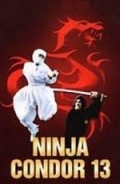 Фильмография Ричард Филлипс - лучший фильм Ninjas, Condors 13.
