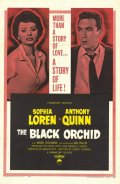 Фильмография Джек Уошберн - лучший фильм Черная орхидея.