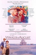 Фильмография Фрэнк Граймс - лучший фильм Августовские киты.