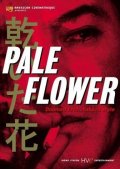Фильмография Такаши Фуджики - лучший фильм Бледный цветок.