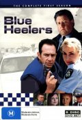Фильмография Дэмиэн Уолш-Хоулинг - лучший фильм Blue Heelers  (сериал 1994-2006).