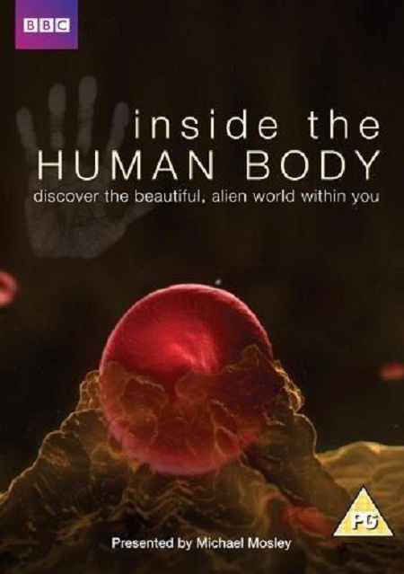 Фильмография Майкл Дж. Мосли - лучший фильм Внутри человеческого тела (сериал).