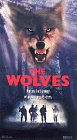 Фильмография Пол Хайнс - лучший фильм Волки.