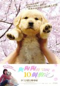 Фильмография Эцуси Тоёкава - лучший фильм 10 обещаний моей собаке.