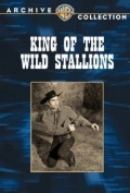 Фильмография Jerry Hartleben - лучший фильм King of the Wild Stallions.