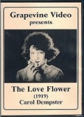 Фильмография Джордж МакКуорри - лучший фильм Цветок любви.