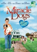 Фильмография Уэйн Роджерс - лучший фильм Miracle Dogs.