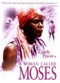 Фильмография Джеймс Вейнрайт - лучший фильм A Woman Called Moses.