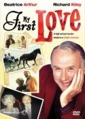 Фильмография Бретт Стимли - лучший фильм Моя первая любовь.