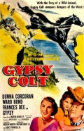Фильмография Родольфо Хойос мл. - лучший фильм Gypsy Colt.