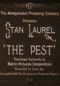 Фильмография Мэй Лорел - лучший фильм The Pest.