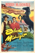 Фильмография Лин Томас - лучший фильм Black Midnight.