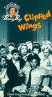 Фильмография Тодд Карнс - лучший фильм Clipped Wings.