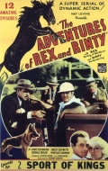Фильмография Рин Тинь Тинь мл. - лучший фильм The Adventures of Rex and Rinty.