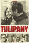 Фильмография Зигмунт Малянович - лучший фильм Тюльпаны.
