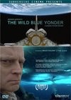 Фильмография Др. Эллен Бэйкер - лучший фильм Далекая синяя высь.