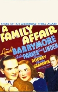 Фильмография Аллен Винсент - лучший фильм A Family Affair.