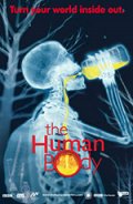 Фильмография Профессор Роберт Уинстон - лучший фильм Человеческое тело.