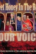 Фильмография Кэрол Мейлар - лучший фильм Sweet Honey in the Rock: Raise Your Voice.