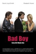 Фильмография Элизабет Хауэр - лучший фильм Bad Boy.