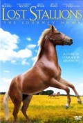 Фильмография Меган Блейк - лучший фильм Lost Stallions: The Journey Home.
