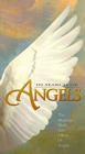 Фильмография Тони Кушнер - лучший фильм In Search of Angels.
