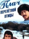 Фильмография Шайыргуль Касымалиева - лучший фильм Плач перелетной птицы.