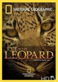 Фильмография Legadema - лучший фильм Глазами леопарда.