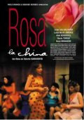 Фильмография Лестер Мартинез - лучший фильм Rosa la china.