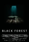 Фильмография Christian Begyn - лучший фильм Темный лес.
